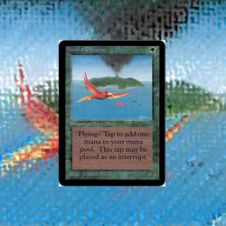 MTG鳥クリーチャー収集ガイドNo4：《極楽鳥》 - 紙束MTG